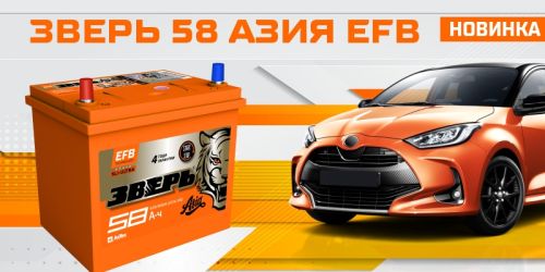 Новинка! ЗВЕРЬ 58 АЗИЯ EFB